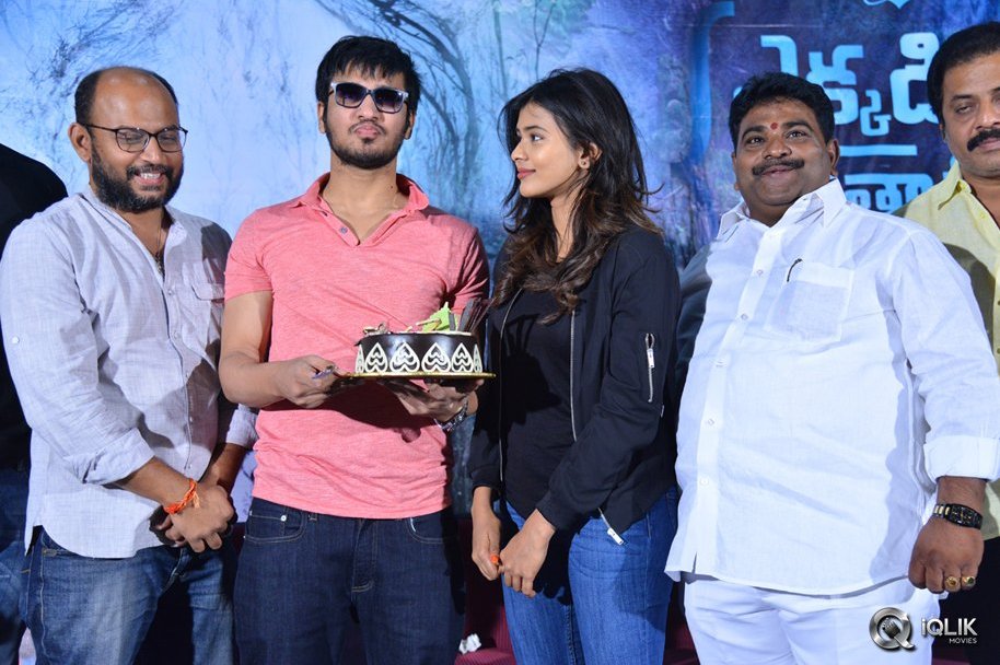 Ekkadiki-Pothavu-Chinnavada-Movie-Thanks-Meet